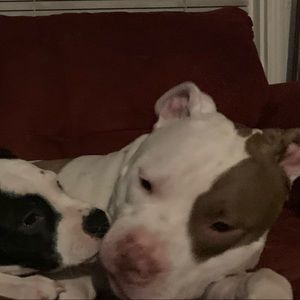 Meet your Posher, Kay